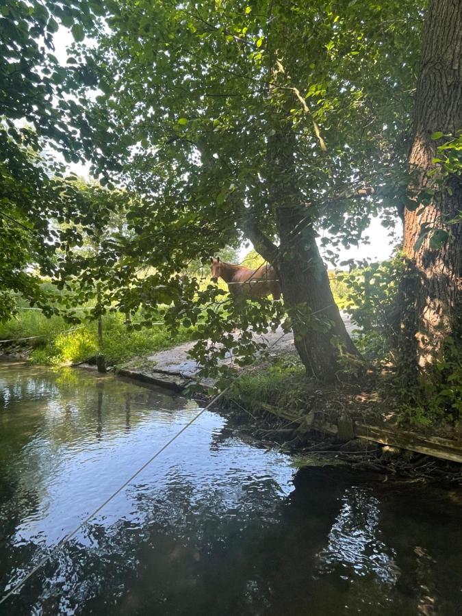 Saint-Martin-le-Gaillard Gite « Le Moulin » A 2 Pas De La Mer מראה חיצוני תמונה